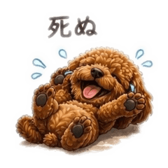 MERU_20260504113526