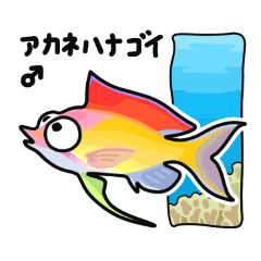 MARINE  FISHES