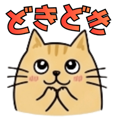 Friendly Red Tabby Cat - Everyday Use