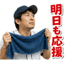 Baseball Watching Fan