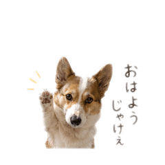 Yumiko_20260504120558