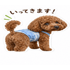 Ohana_20260504120733
