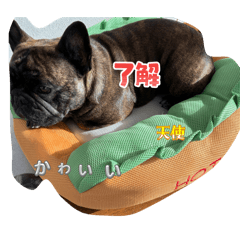 Takara_20260504120542