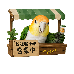 松板豬V2