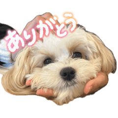 ejshi_20260504120210