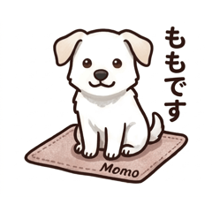 momo_20260504112656