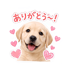 moe_20260504121320