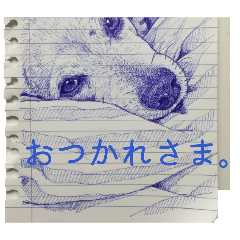 Gonchan_20260505115029