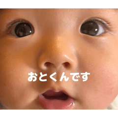 Otopi_20260504004900