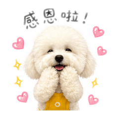 Sunsun篇
