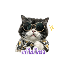 Panda Stickers_20260428131032