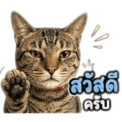 Kawinnart_20260428130848
