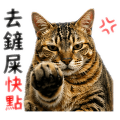 發粿皇上日常