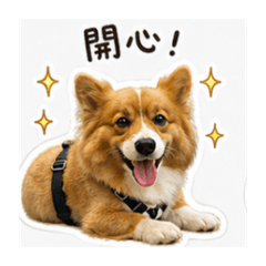 Puppy emojis