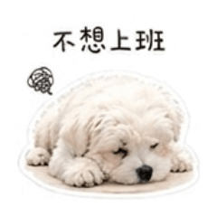錢錢の內心話