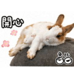 厭世兔比