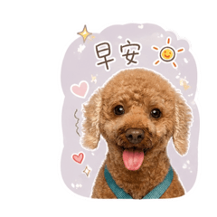 Nick狗狗