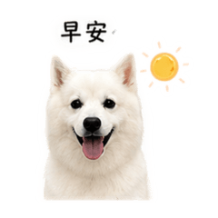 Yuki 4.0