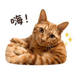 末末哈娜的日常Ver.1