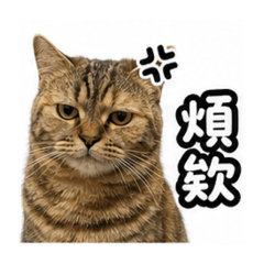燈燈的厭世日常1～