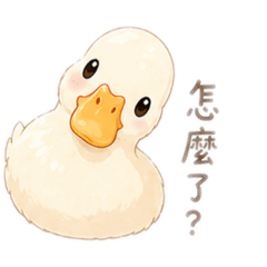 好羨慕鴨