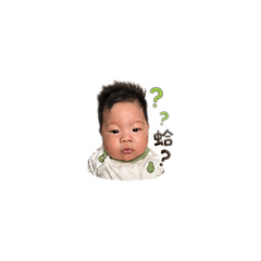 霂霂日常用語