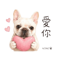 nono生活日常