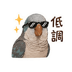 和尚鸚鵡-Q比日常用語