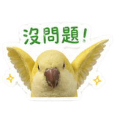 我乃寶貝是也❤️