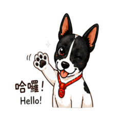 黑白小狗日常貼圖｜可愛療癒版