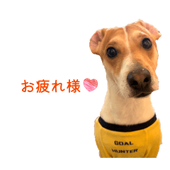 mayu_20260504012045