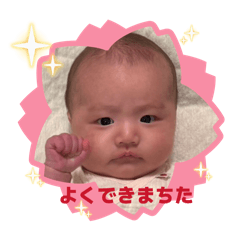 nori_20260504124500