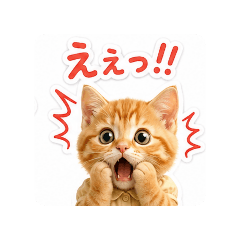momorinko_20260504124320