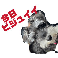 Meru_20260505155252