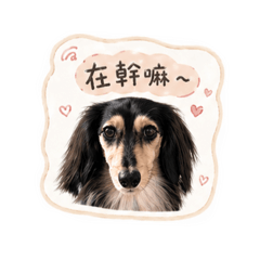 班尼日常2