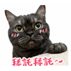 Sushi -2026