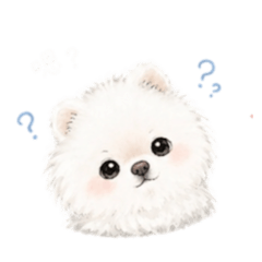 Pinky博美貼圖