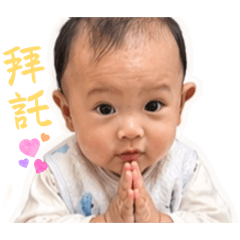 小樂樂表情包日常