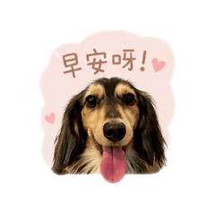班尼日常1