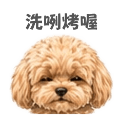 きなこ333333