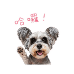 蒂蒂baby