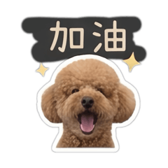 卡蹦日常實用貼圖