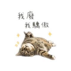 沙米素西小天地6