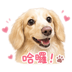 小昊迪今天也很乖( ̀⌄ ́)