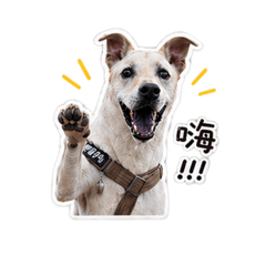 我是黃飛騰