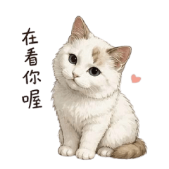 雪球碎碎念