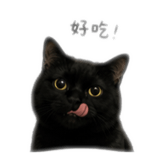 Nimeow