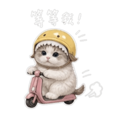 小脆弱貓的溫柔日常