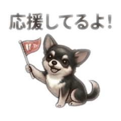 minatiwa_20260504130337