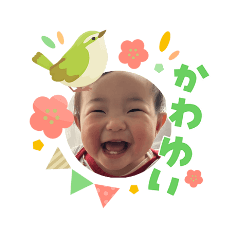 yosi_20260504133052